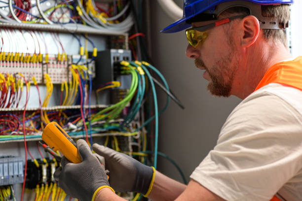 Best Electric Panel Repair  in Eunice, NM